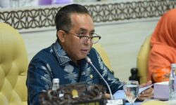 Anggota Komisi V DPR RI Mori Hanafi Minta Pemerintah Bedakan Peran BUMDes dan Koperasi