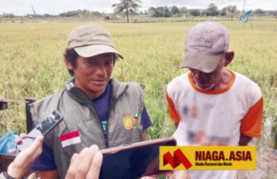 Luas Panen Padi November 2025 Sebesar 0,57 Juta Hektare