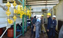 Listrik 2 Hari Padam, PLN Nunukan: Ada Gangguan Eksternal PLTMG Sebaung