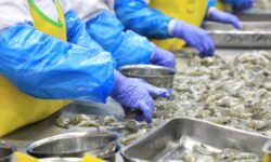 Ishartini: AS Percayakan KKP Sebagai Certifying Entity untuk Udang Indonesia