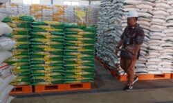 Bulog Jamin Pasokan Beras Kaltim–Kaltara Hingga Awal 2026 Layak Konsumsi