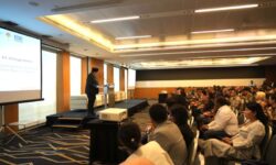 FDI Singapura di Indonesia Tahun 2024 USD20 Miliar dan Perdagangan USD57,6 Miliar