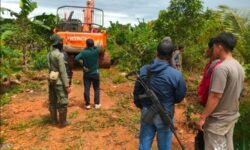 Balai Gakkum Kalimantan – TNK Amankan Perambah Hutan