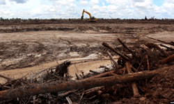 Jangan Korbankan Anak-anak Bumi