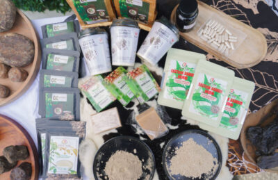 Mendag Dorong Hilirisasi, Nilai Ekspor Gambir Sumbar Periode Januari – September 2025 USD34,2 Juta