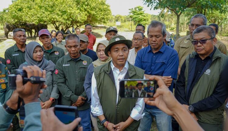 Kemenhut Janji akan Evaluasi Tata Kelola Hutan di Sumatera