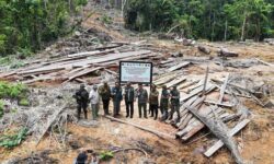 Kemenhut Temukan Kayu Ilegal “Numpang” pada Skema PHAT