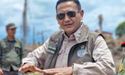 Pemerintah Lestarikan Hutan yang Menjadi Habitat Gajah Sumatera