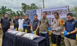 Alih Fungsi Lahan di Sumatera Barat, Aceh, dan Sumatera Utara Perparah Bencana Banjir
