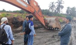 Empat Penambang Batubara Ilegal Ditangkap di Cagar Alam Teluk Adang