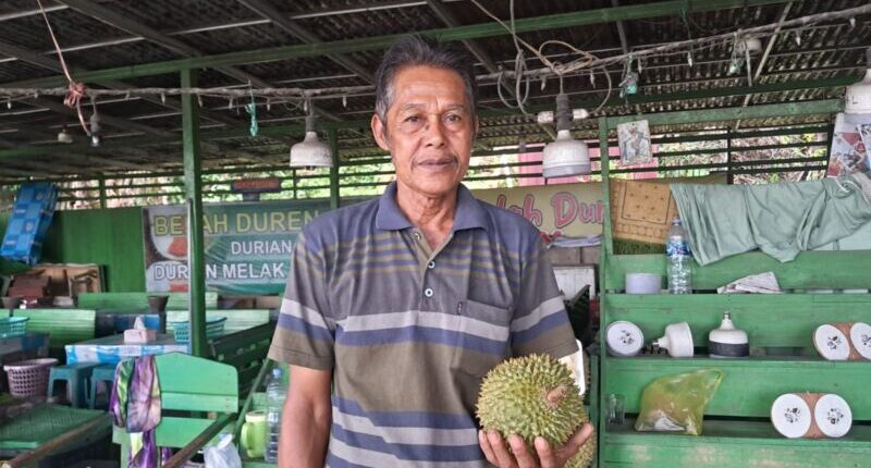 Pedagang Durian Panen Cuan di Libur Panjang Natal dan Tahun Baru