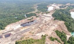 Deforestasi Meledak, Konsesi Lebih Luas dari Wilayah: Kaltim Masuki Fase Darurat Ekologis