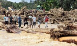 Polri – Kemenhut Bentuk Tim Usut Kayu Gelondongan di Sumatera