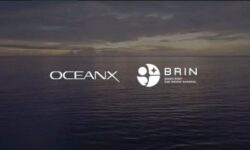 BRIN–OceanX Petakan Gunung Bawah Laut Sulawesi Utara