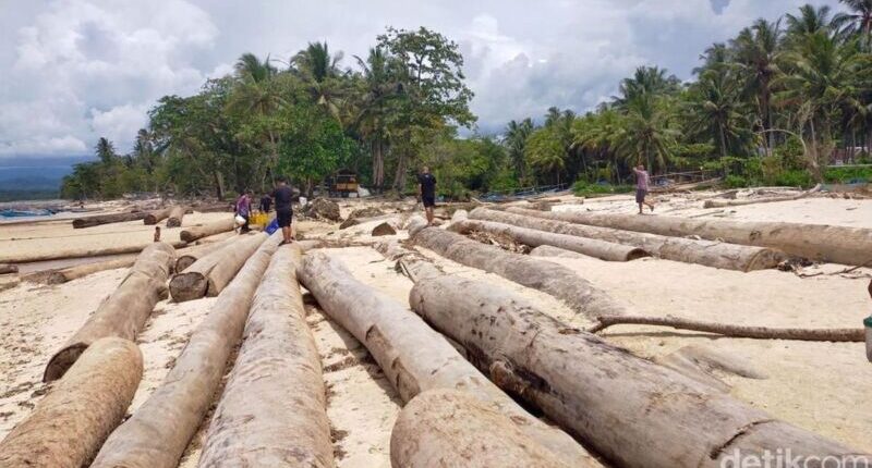 Kayu di Pantai Barat Lampung Milik PT Minas Pagai Lumber