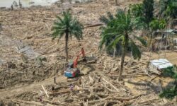 Kasus Kayu Gelondongan di Sumatra Utara Naik ke Penyidikan