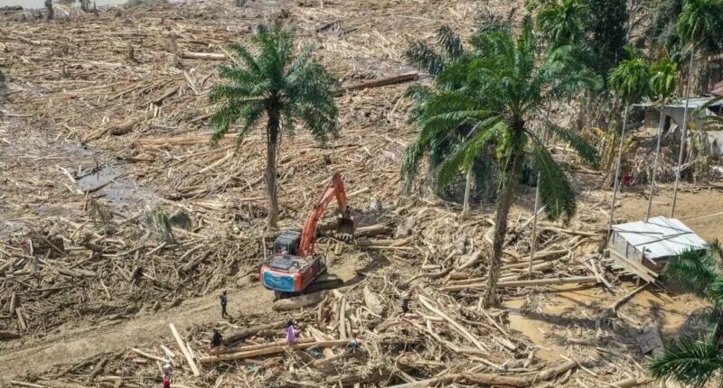 Kasus Kayu Gelondongan di Sumatra Utara Naik ke Penyidikan