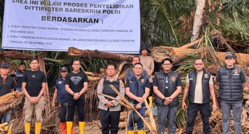 Ungkap Asal Kayu Gelondongan, Bareskrim Polri Ambil 27 Sampel Kayu di DAS Garoga Tapanuli Utara