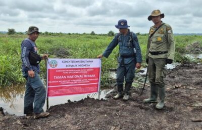 Musnahkan 98,8 Hektare Kebun Sawit Ilegal Dalam Kawasan Konservasi TN Berbak Sembilang