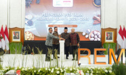 Kemendag Siap Pasarkan Rempah Bernilai Tambah ke Pasar Dunia