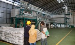 Ini Sederet Manfaat Sistem Resi Gudang