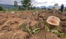 Polisi Buru Perusak Kebun Teh di Kabupaten Bandung