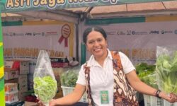 Raup Jutaan Rupiah Sekali Panen, IRT Samarinda Sulap Atap Rumah Jadi Kebun Hidroponik