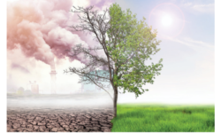 Isu-isu Penting Lingkungan yang Saling Terkait