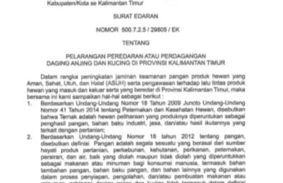 Bukan Untuk Dimakan, Setop Perdagangan Daging Kucing dan Anjing