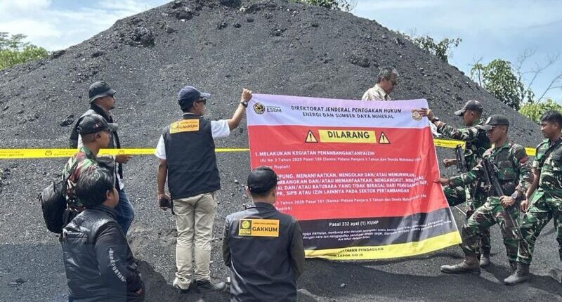 Negara Amankan Tumpukan 70 Ribu Ton Batubara Ilegal di Kalimantan Timur