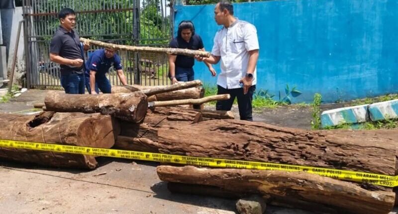 Ilegal Logging di Gunung Ciremai, 5 Orang Ditangkapi