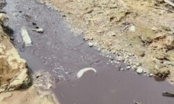 Limpah Pabrik Sawit PT BHP Nunukan Diduga Cemari Sungai Tujung Sembakung