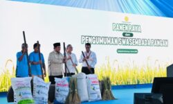 Indonesia Swasembada Pangan 2025, Produksi Beras Nasional 34,71 Juta Ton