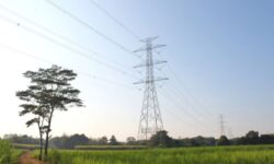 Pemerintah Putuskan Tarif Listrik Januari – Maret 2026 Tidak Naik