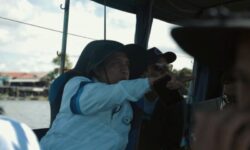 Video Viral Bukan Pesut Mahakam, tapi Lumba-lumba Tanpa Sirip Punggung