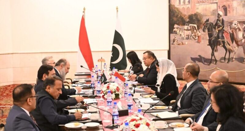 Dyah Roro: Indonesia Dorong Perluasan Kerja Sama CEPA dengan Pakistan