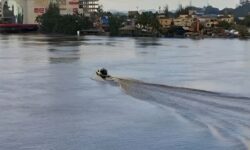 Alat Tangkap Ilegal Sebabkan Sungai Mahakam Kehilangan 70 Persen Spesies Ikan Lokal