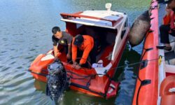 Diduga Terpeleset di Buritan, ABK KM Nur Aliyah Hilang di Laut Balikpapan
