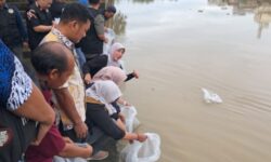 Jaga Keberlangsungan Ekosistem, Alumni FPIK Unmul Tebar 5.000 Bibit Ikan di SKM