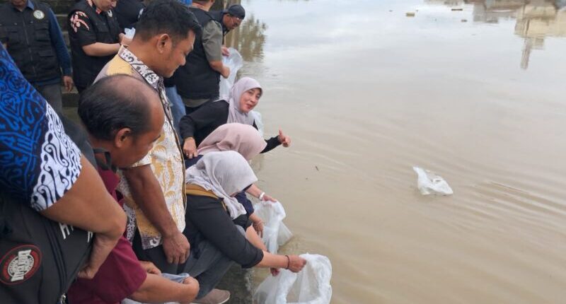 Jaga Keberlangsungan Ekosistem, Alumni FPIK Unmul Tebar 5.000 Bibit Ikan di SKM