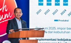 Tidak Ada Negara Maju Tanpa Hilirisasi