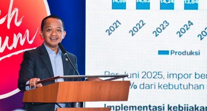 Tidak Ada Negara Maju Tanpa Hilirisasi