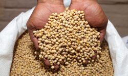 Indonesia Wajib Belanja ke Amerika Serikat 33 Miliar USD