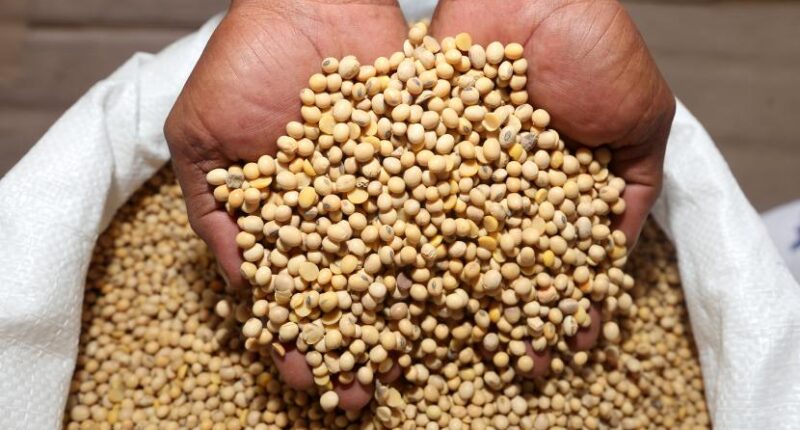 Indonesia Wajib Belanja ke Amerika Serikat 33 Miliar USD