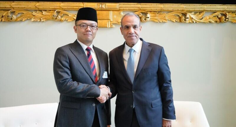 Bertemu Yordania, Mesir dan Pakistan, Menlu Sugiono Sampaikan Pandangan Indonesia terkait Palestina