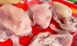 Disperindag Kukar: Harga Ayam Sudah Turun