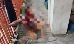 Antar Tetangga Bertikai, Satu Ditikam