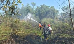 BPBD Nunukan Padamkan Dua Karhutla