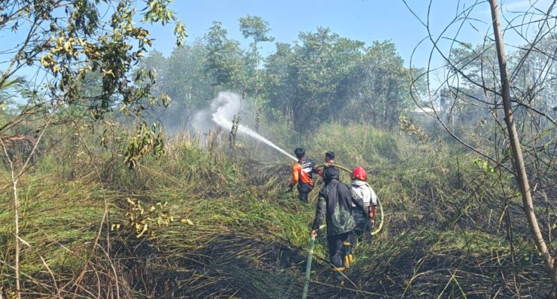 BPBD Nunukan Padamkan Dua Karhutla