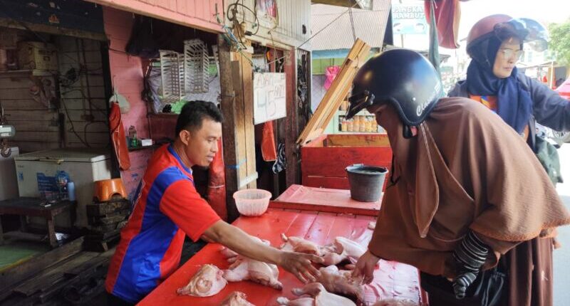 Lonjakan Harga Ayam di Tenggarong Bikin Pedagang Kaget